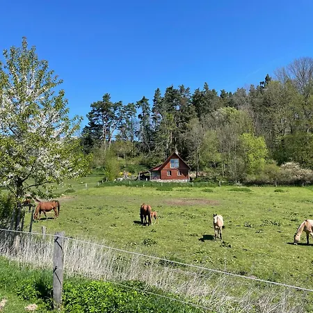 Ranc