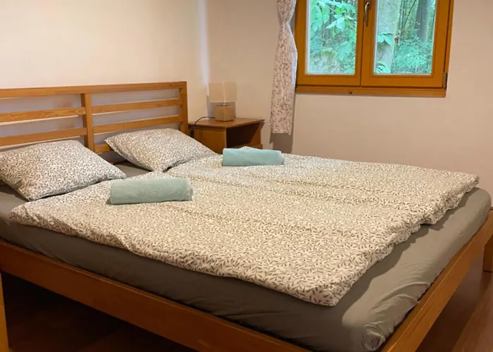 Ranc 山林小屋